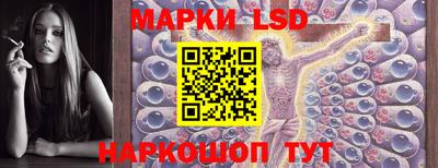 spice Краснодар