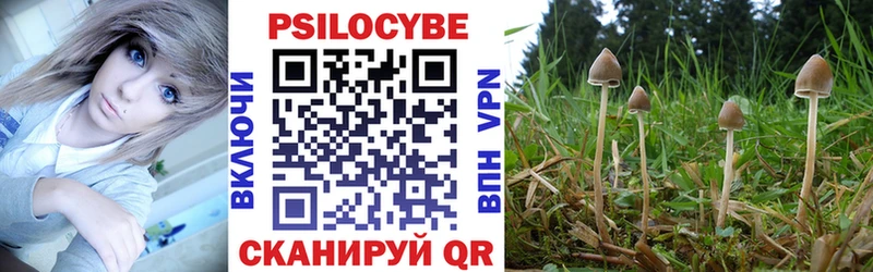 Галлюциногенные грибы Cubensis  Солнечногорск 